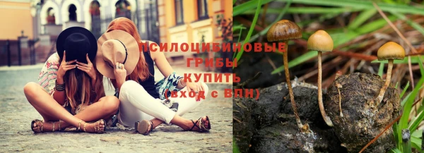 спайс Армянск