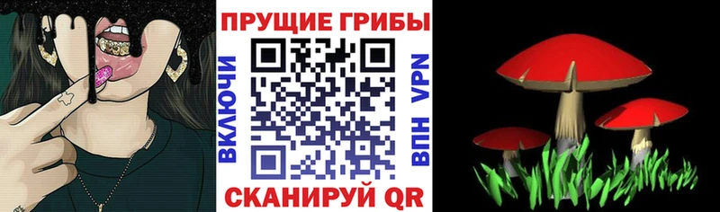 блэк спрут ТОР  наркота  Кемь  Галлюциногенные грибы MAGIC MUSHROOMS 